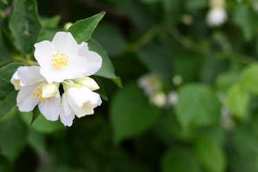 Similar image 2862848