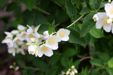 Similar image 2862849