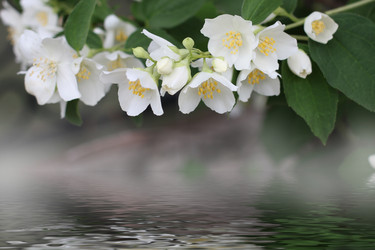 Similar image 2862850