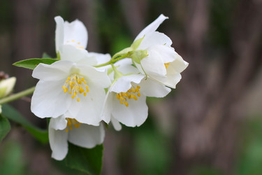 Similar image 2862851