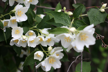 Similar image 2862852