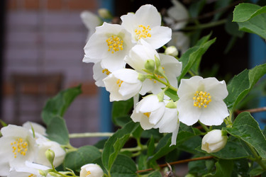 Similar image 2862853