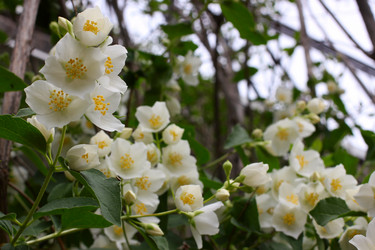 Similar image 2862854