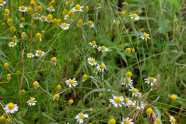 Similar image 2862855