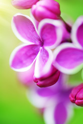 Similar image 2862856