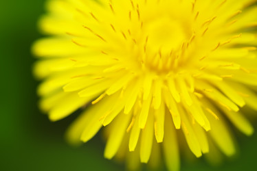 Similar image 2862857