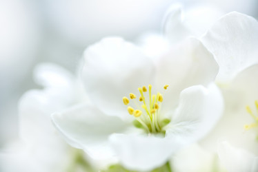 Similar image 2862858