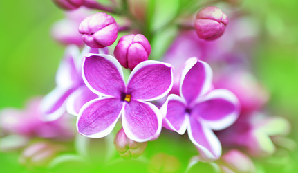 Similar image 2862859