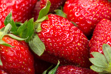 Similar image 2862875