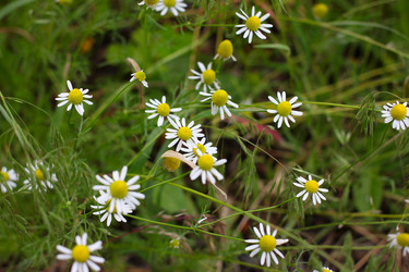 Similar image 2862895