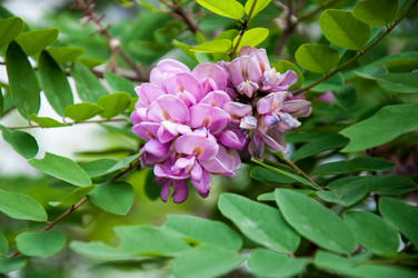 Similar image 2862903