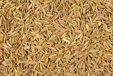 Similar image 2862920