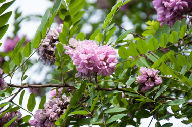 Similar image 2862926