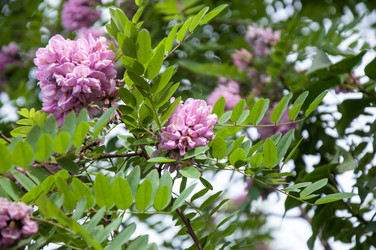 Similar image 2862927