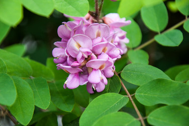 Similar image 2862928