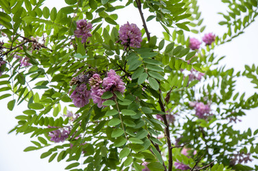 Similar image 2862930