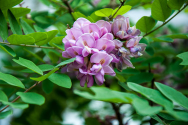 Similar image 2862933