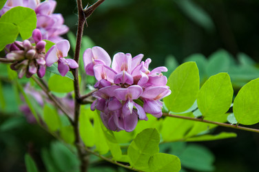 Similar image 2862934