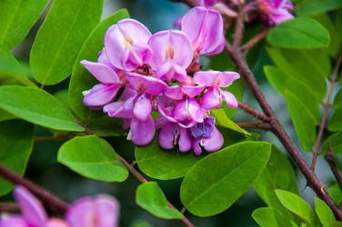 Similar image 2862935