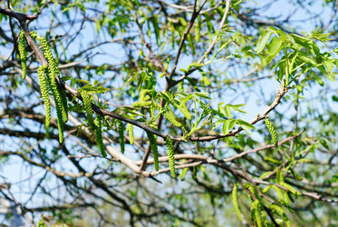 Similar image 2862941