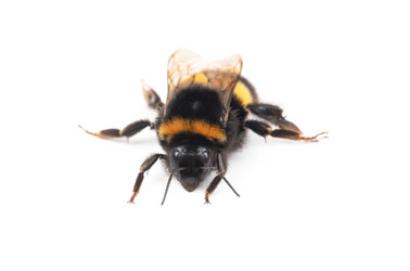 Similar image 2862953