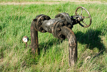 Similar image 2862955