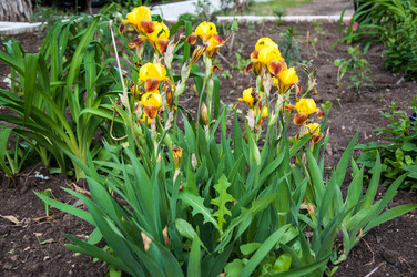 Similar image 2862978