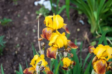 Similar image 2862979