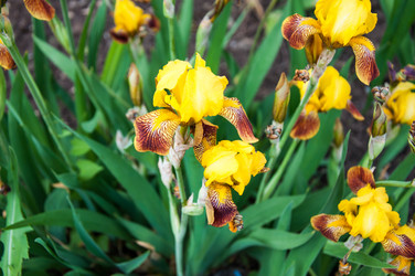 Similar image 2862980