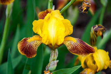 Similar image 2862981