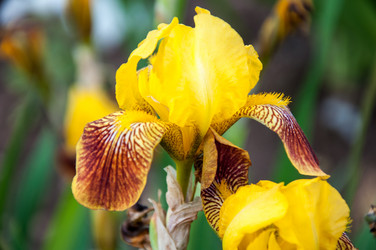 Similar image 2862982