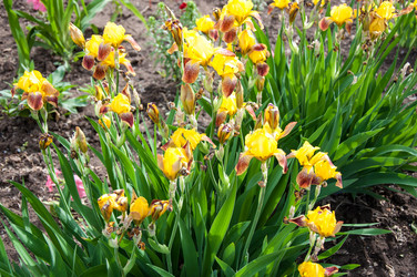 Similar image 2862984