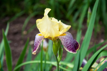 Similar image 2862985