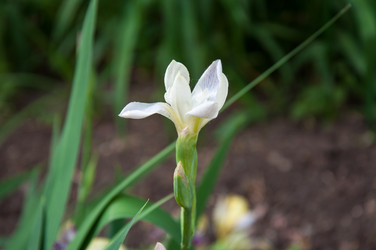 Similar image 2862986