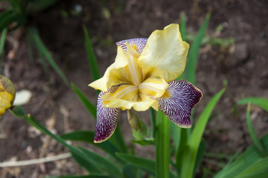 Similar image 2862988