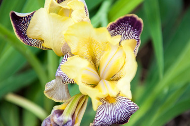 Similar image 2862989