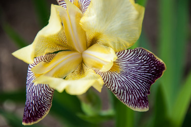 Similar image 2862990