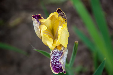 Similar image 2862991