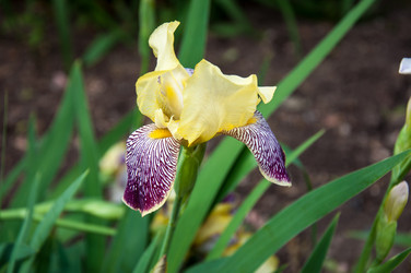 Similar image 2862992