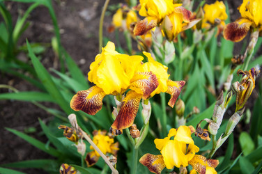 Similar image 2862994