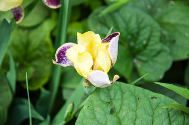 Similar image 2863005