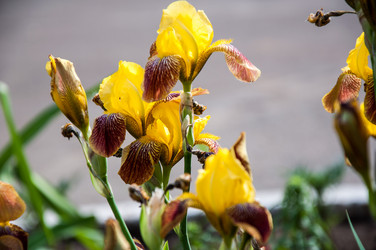 Similar image 2863008