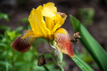 Similar image 2863010