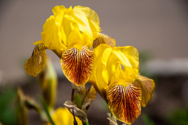 Similar image 2863011