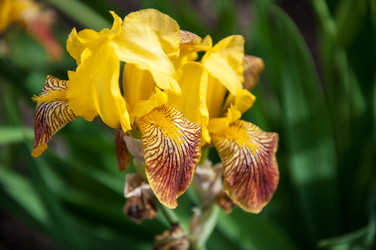 Similar image 2863012