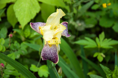 Similar image 2863015