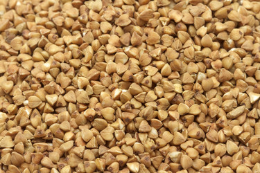 Similar image 2863028