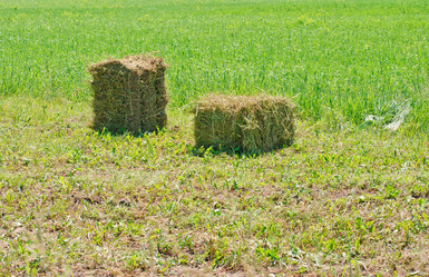 Similar image 2863037