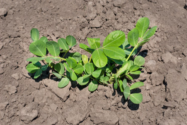 Similar image 2863041