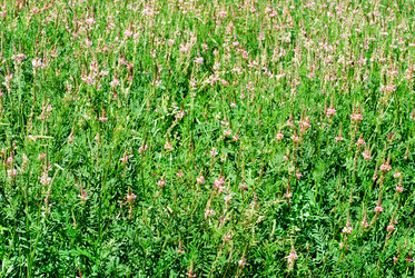 Similar image 2863044